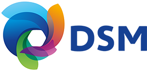 DSM Logo DSM Logo